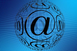 探索体育新闻的魅力，特点、影响与未来