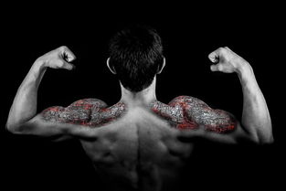 深入了解FITNESS,健康与健身的新境界 深入了解FITNESS,健康与健身的新境界