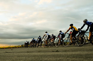 探索运动的多彩世界,运动员项目全解析 探索运动的多彩世界,运动员项目全解析