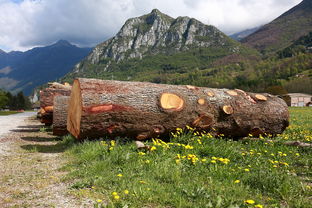 今日赛事安排,最新动态与看点全解析 今日赛事安排,最新动态与看点全解析