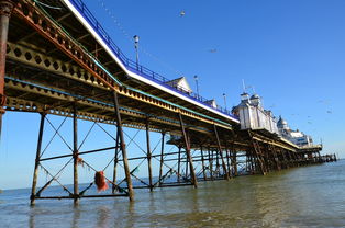 体育新闻英语,连接全球体育迷的语言桥梁 体育新闻英语,连接全球体育迷的语言桥梁