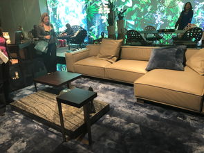 探索官方旗舰店，品质保证与购物新体验