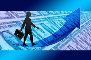 中国足球队最新大名单,新星崛起与老将坚守 中国足球队最新大名单,新星崛起与老将坚守