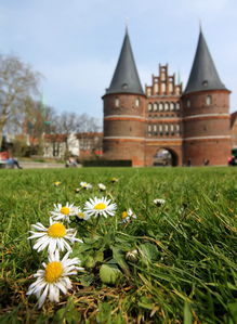 老骥伏枥，白俄罗斯的战略部署与国际影响