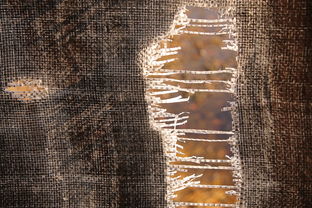 24小时内全球军事动态，紧张局势升级与和平努力并行