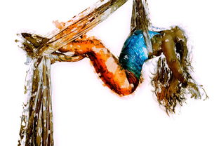 运动的韵律,探索高难度运动系列绘画的艺术魅力 运动的韵律,探索高难度运动系列绘画的艺术魅力