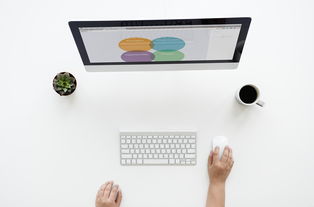 足球世界的数字化助手,探索足球软件的多样性与功能 足球世界的数字化助手,探索足球软件的多样性与功能