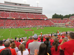 球场上的心脏，4号位足球的魔力与智慧