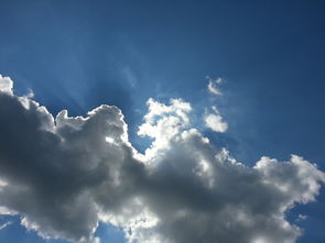 深入了解最新军情，全球动态与战略分析