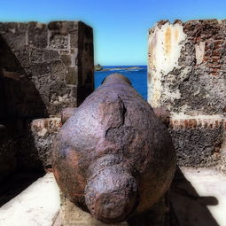 国际军事新闻最新消息，全球安全动态与战略分析