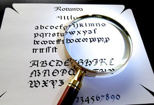 探索gum的中文含义及其在日常生活中的应用 探索gum的中文含义及其在日常生活中的应用