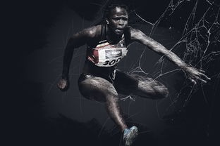 探索新浪体育手机版，阿森纳的数字化足球体验