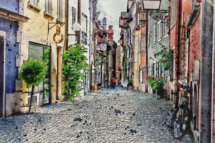 穿梭于时光隧道,北京胡同的英文之旅 穿梭于时光隧道,北京胡同的英文之旅